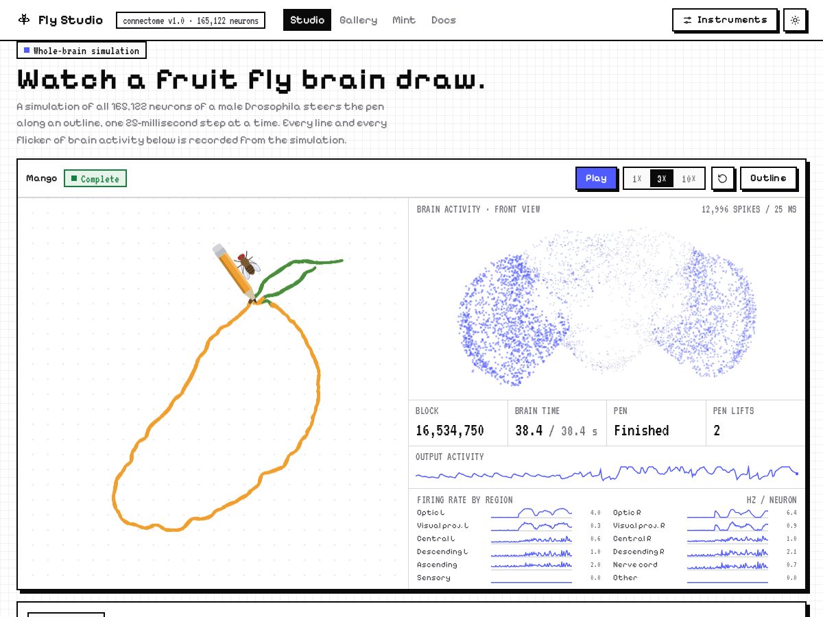 Landing-page snapshot of flystudio.art