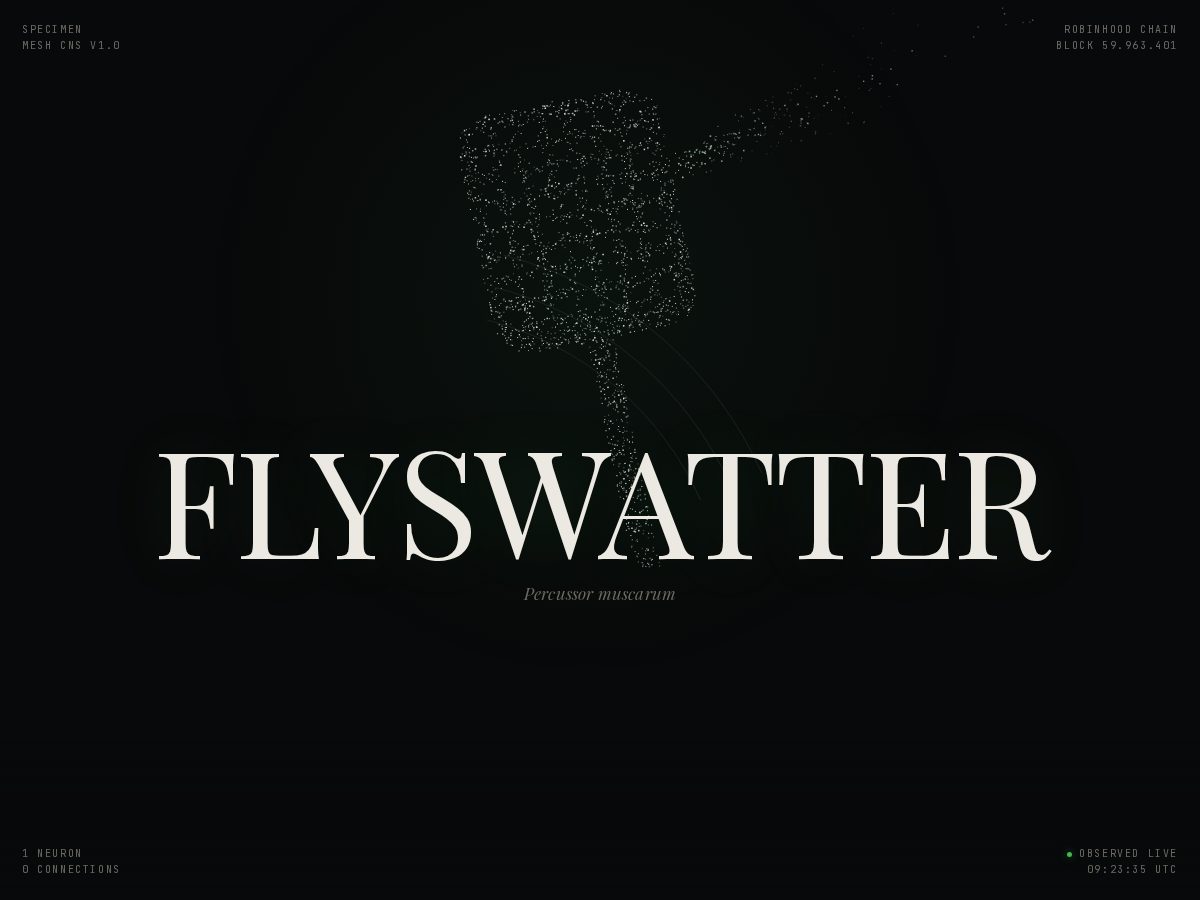 Landing-page snapshot of flyswatter.online