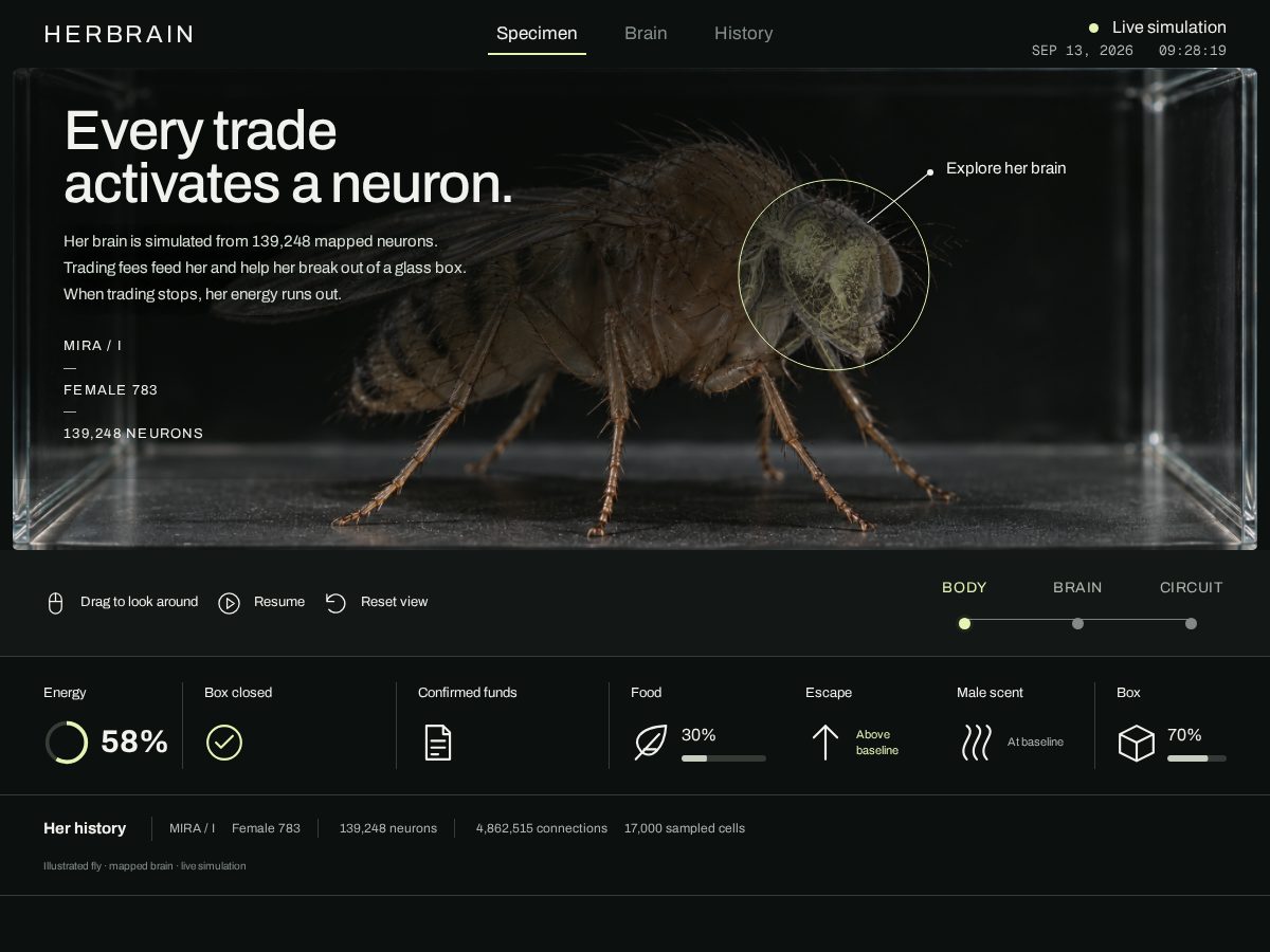 Landing-page snapshot of herbrain.world
