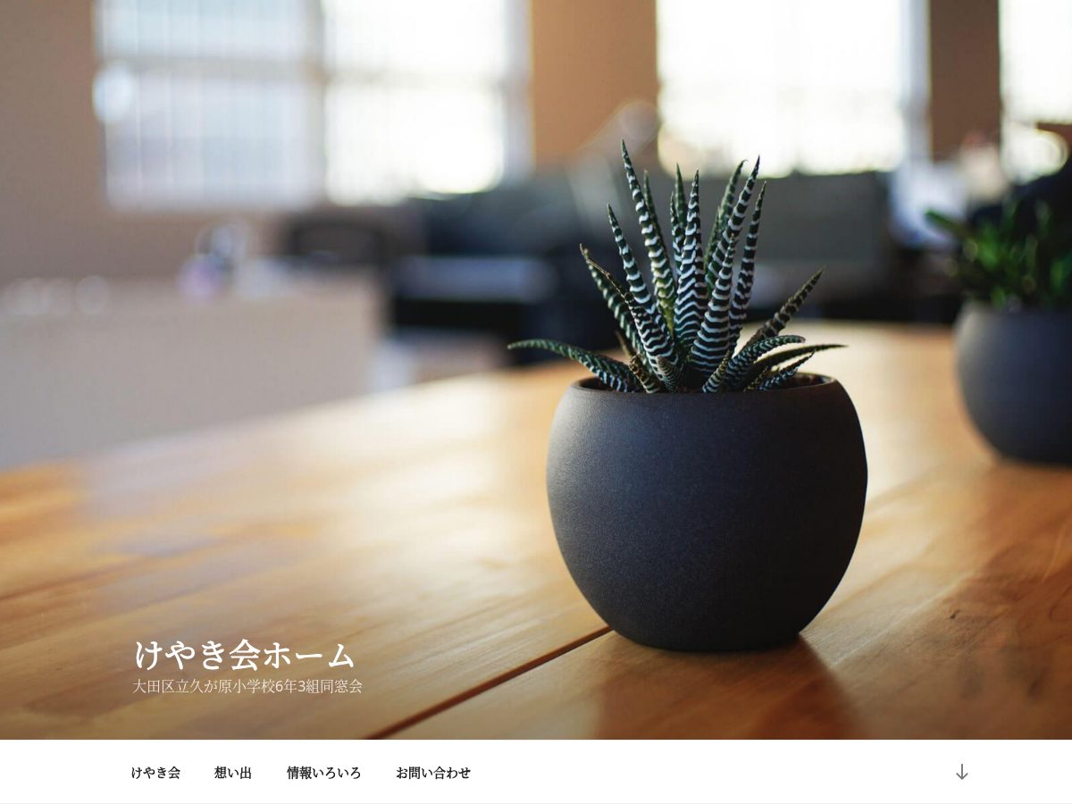 Landing-page snapshot of keyakikai.tokyo