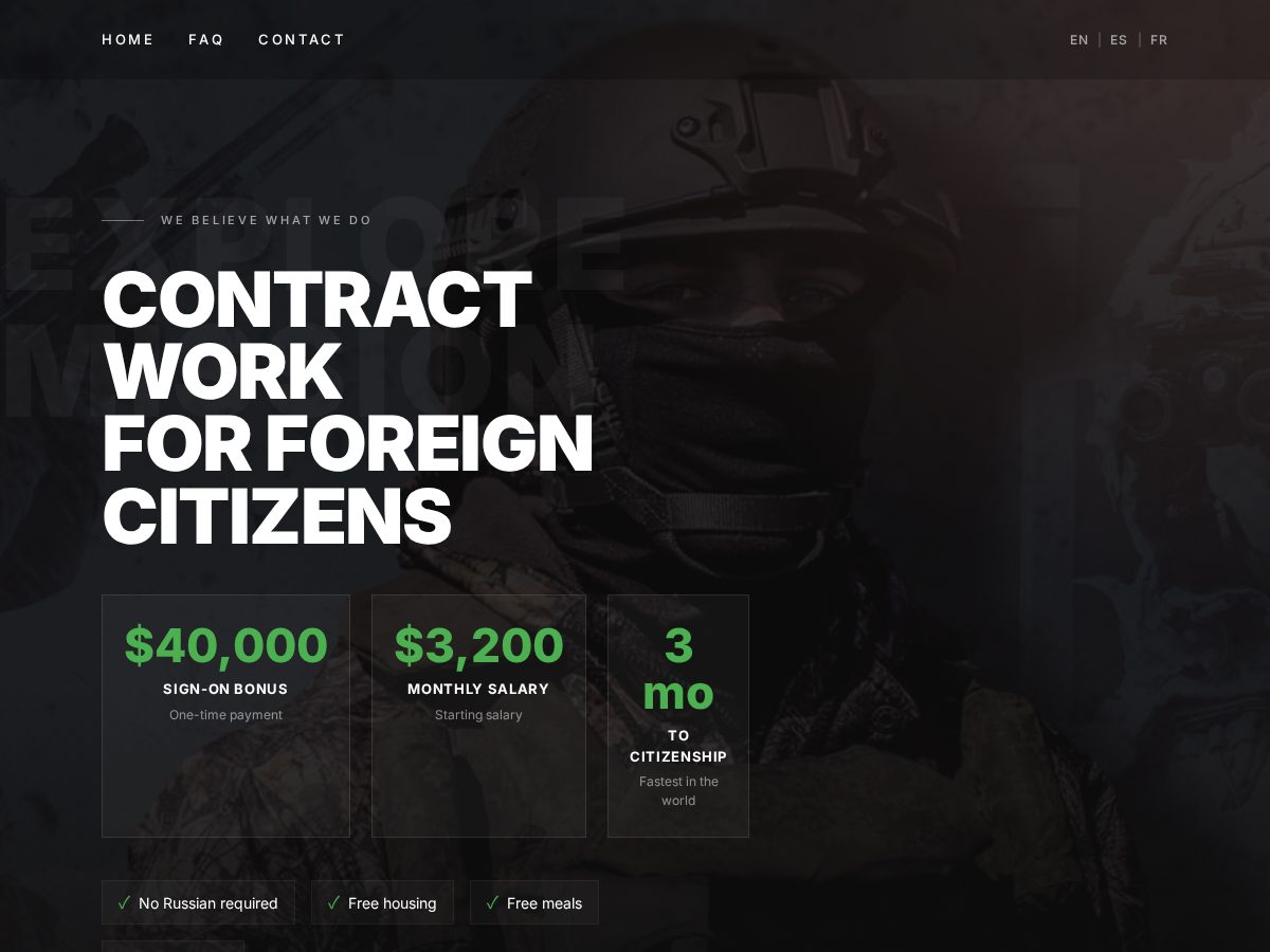 Landing-page snapshot of leonework.click