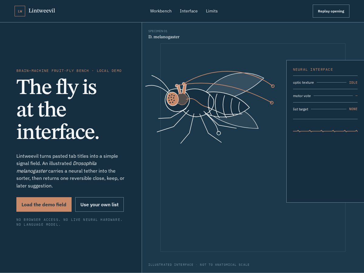 Landing-page snapshot of lintweevil.xyz