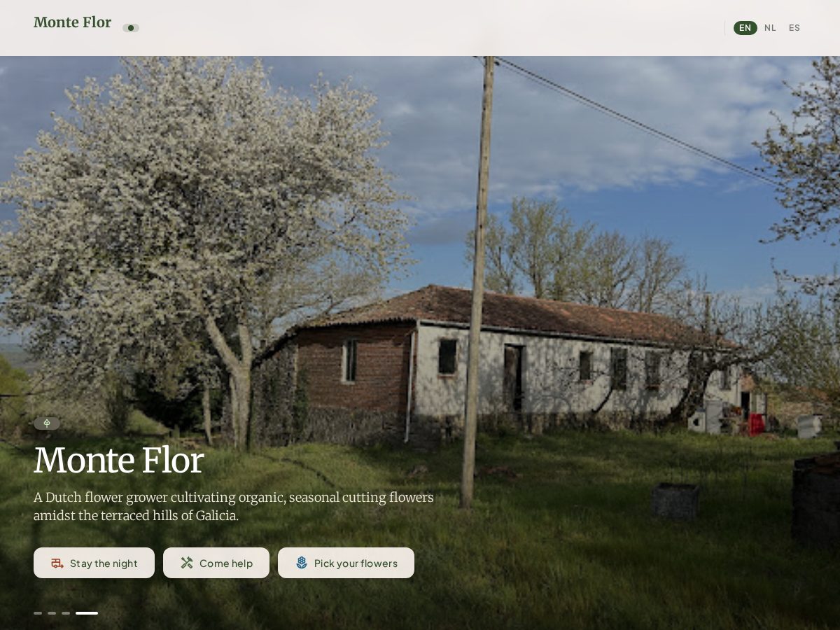 Landing-page snapshot of monteflorgalicia.com