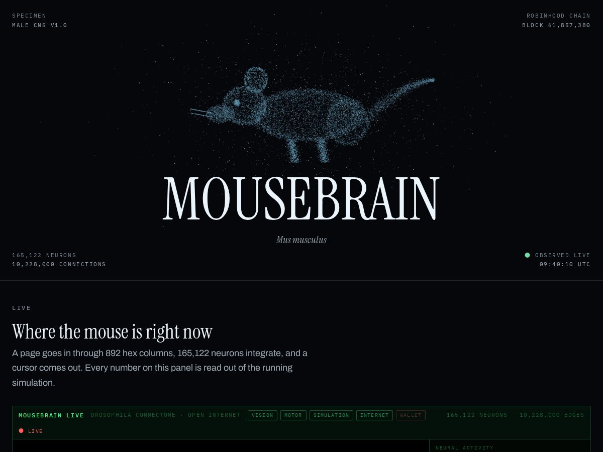 Landing-page snapshot of mousebrain.online