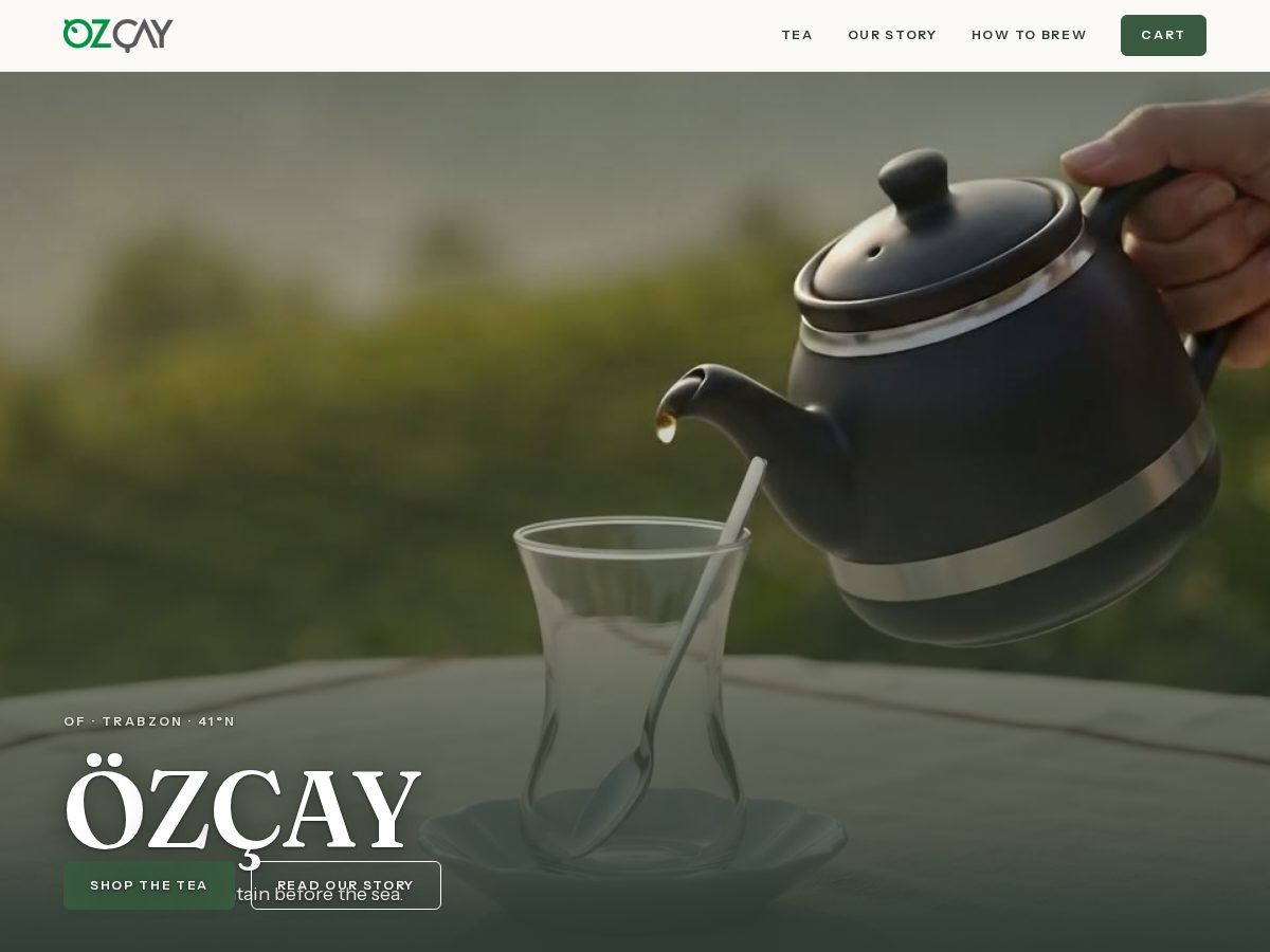 Landing-page snapshot of ozcayusa.com