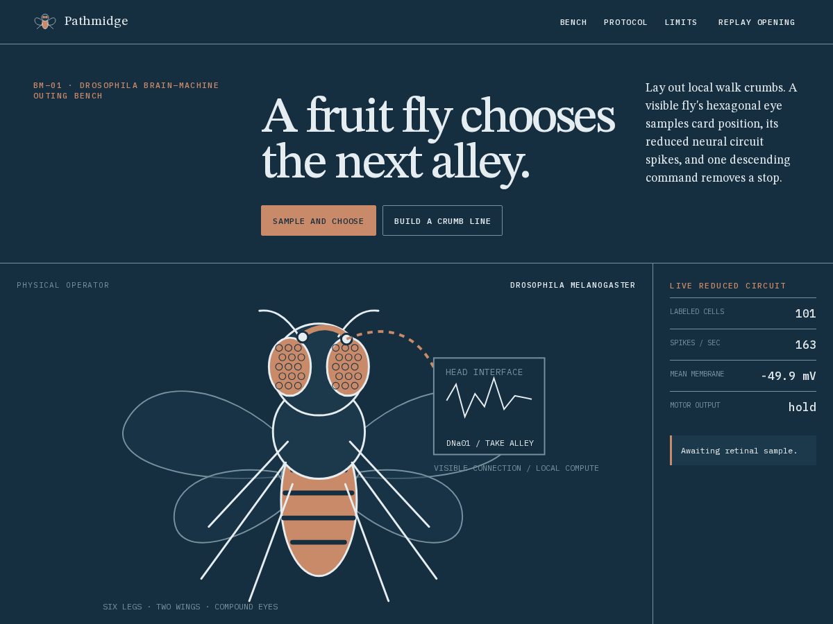 Landing-page snapshot of pathmidge.xyz