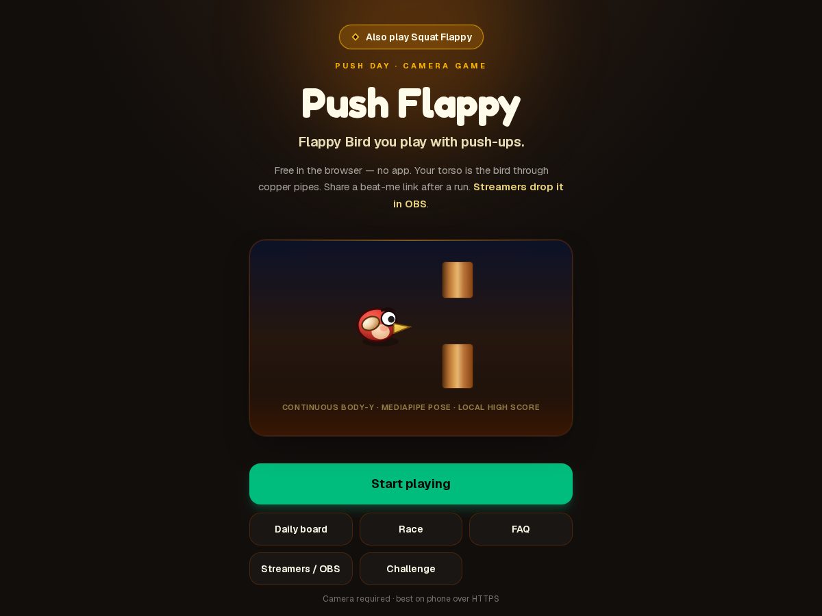 Landing-page snapshot of pushflappy.com