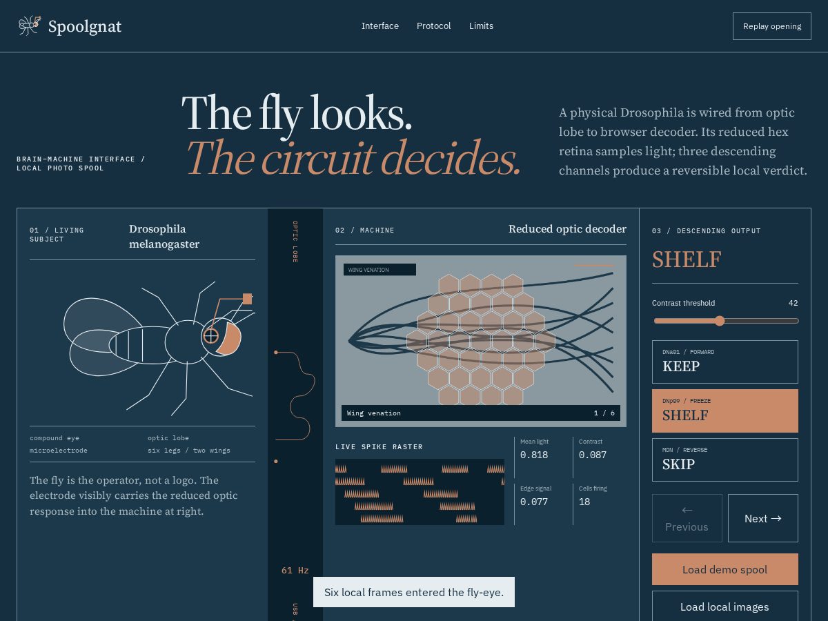 Landing-page snapshot of spoolgnat.xyz