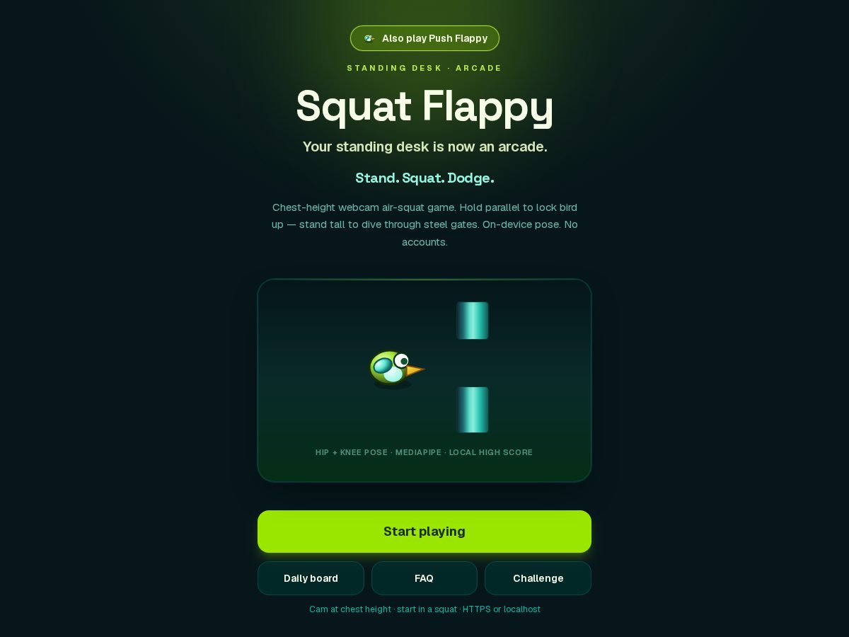 Landing-page snapshot of squatflappy.com
