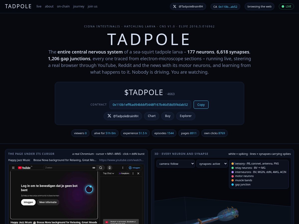 Landing-page snapshot of tadpolebrain.vip