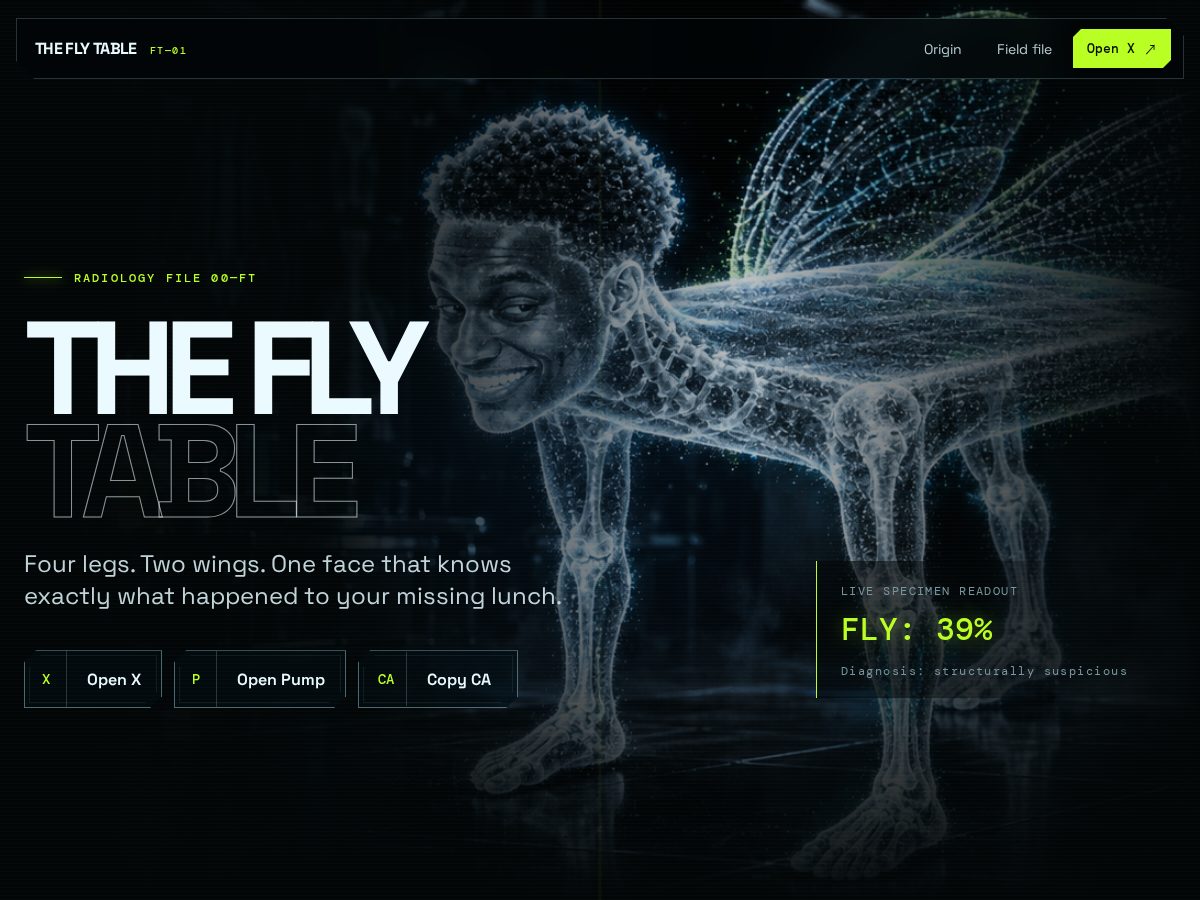 Landing-page snapshot of theflytable.fun