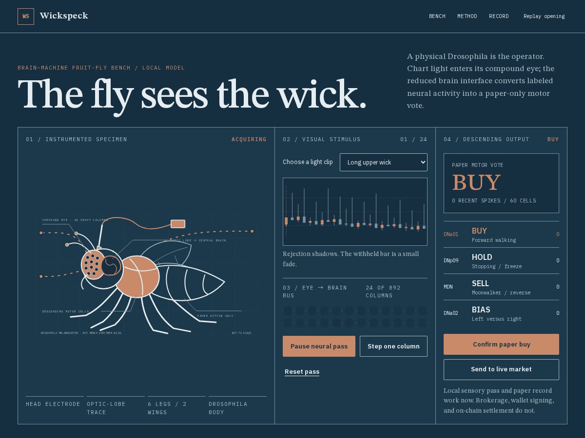 Landing-page snapshot of wickspeck.xyz