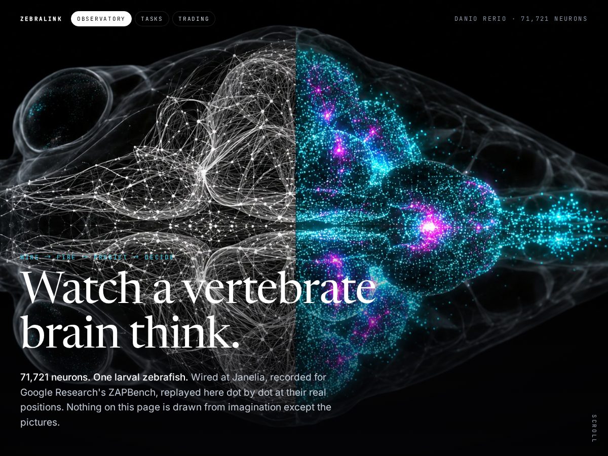 Landing-page snapshot of zebralink.tech