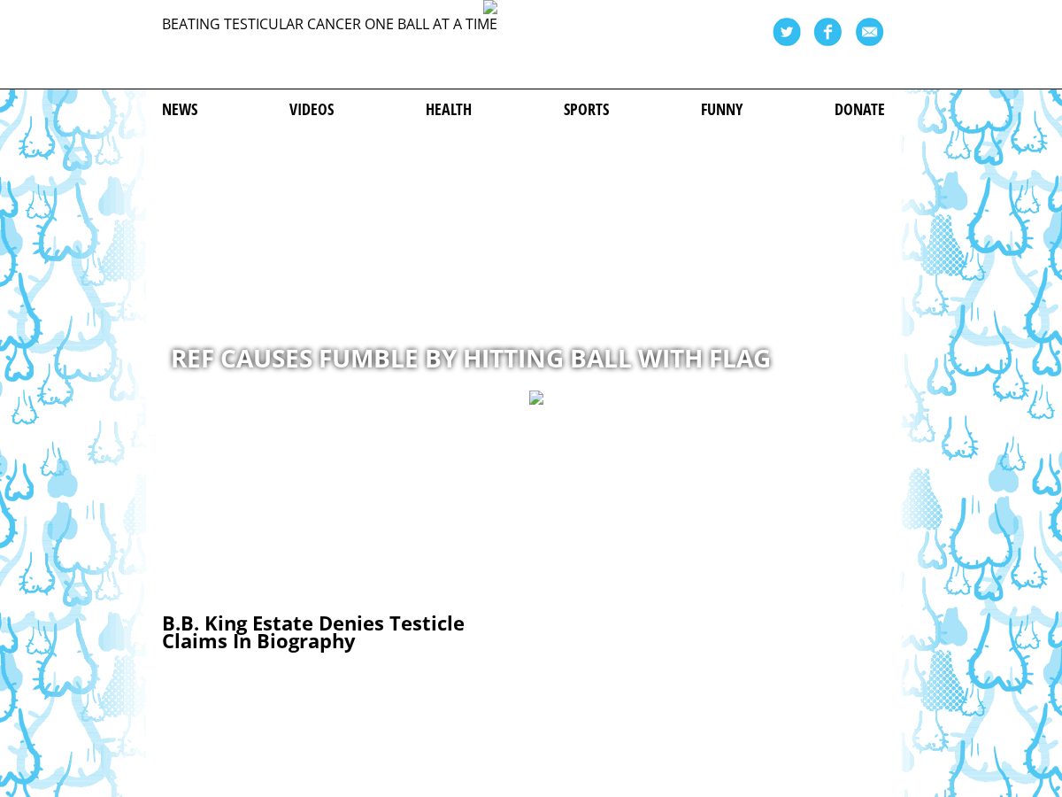 Landing-page snapshot of ballreport.online