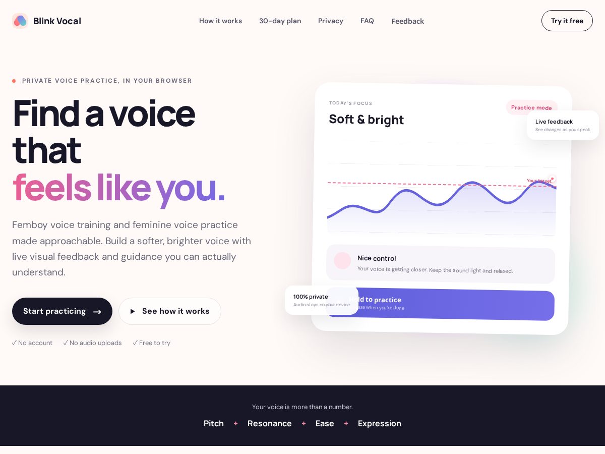 Landing-page snapshot of blinkvocal.com