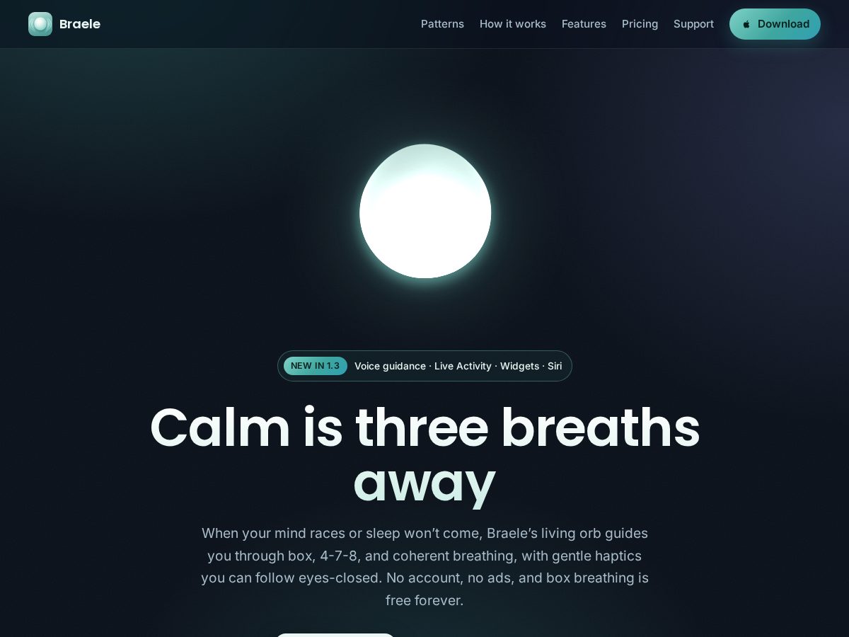 Landing-page snapshot of braele.app