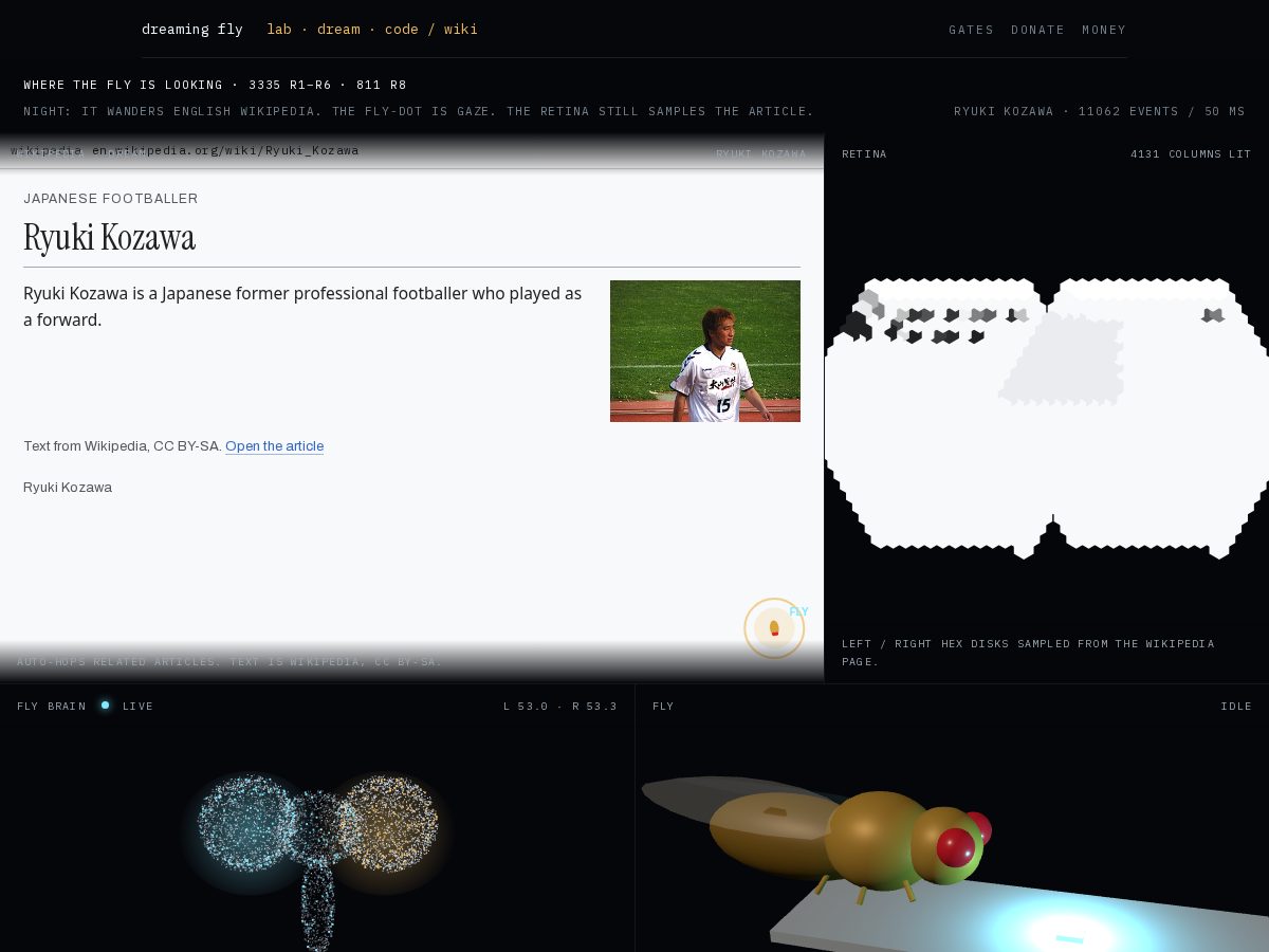 Landing-page snapshot of dreaming-fly.com