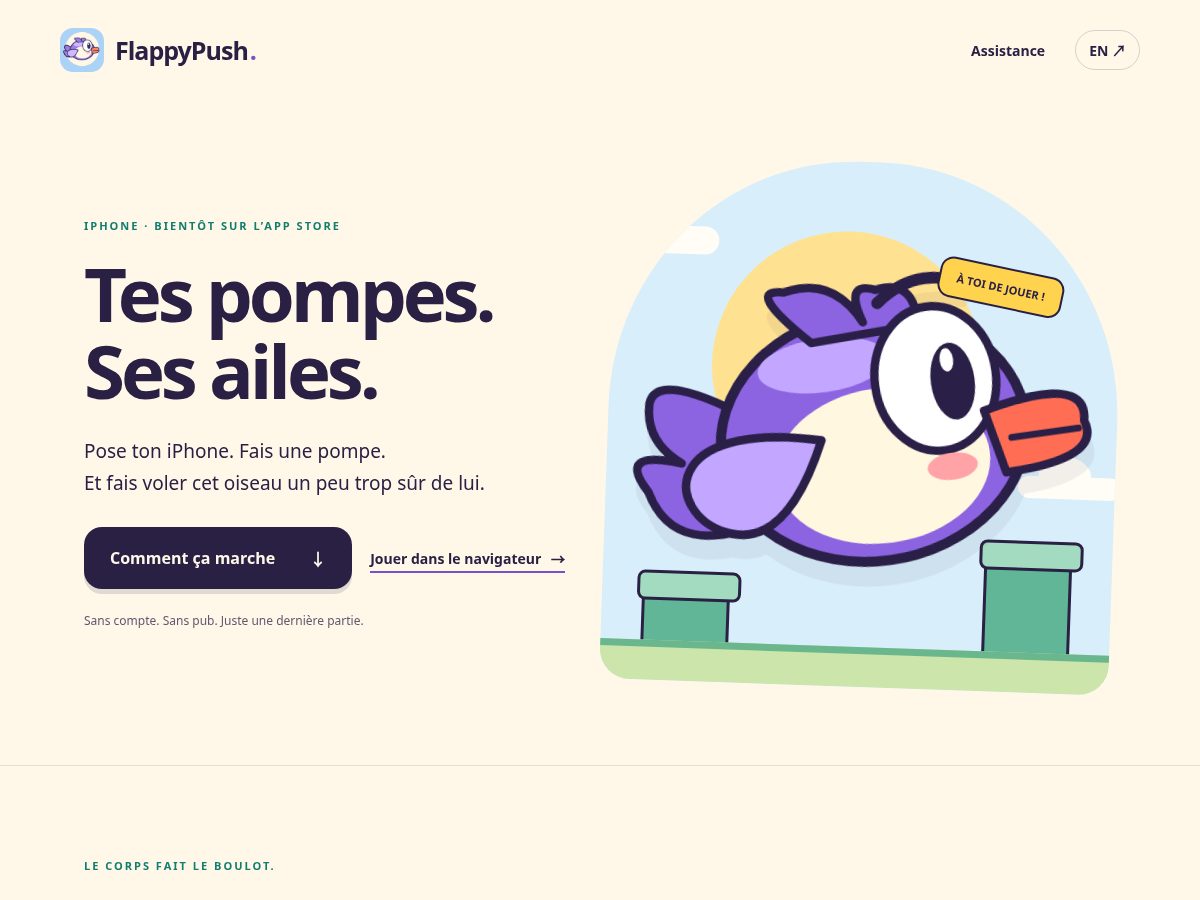 Landing-page snapshot of flappypush.app
