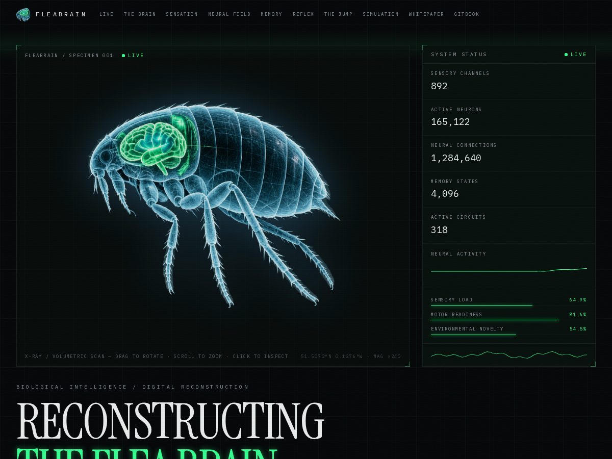 Landing-page snapshot of flea-brain.xyz