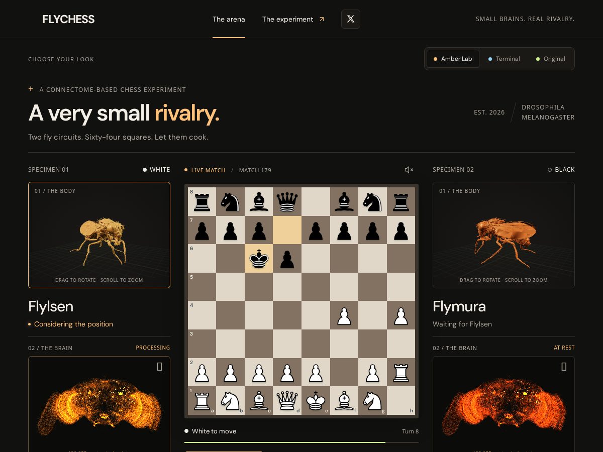 Landing-page snapshot of flychess.fun