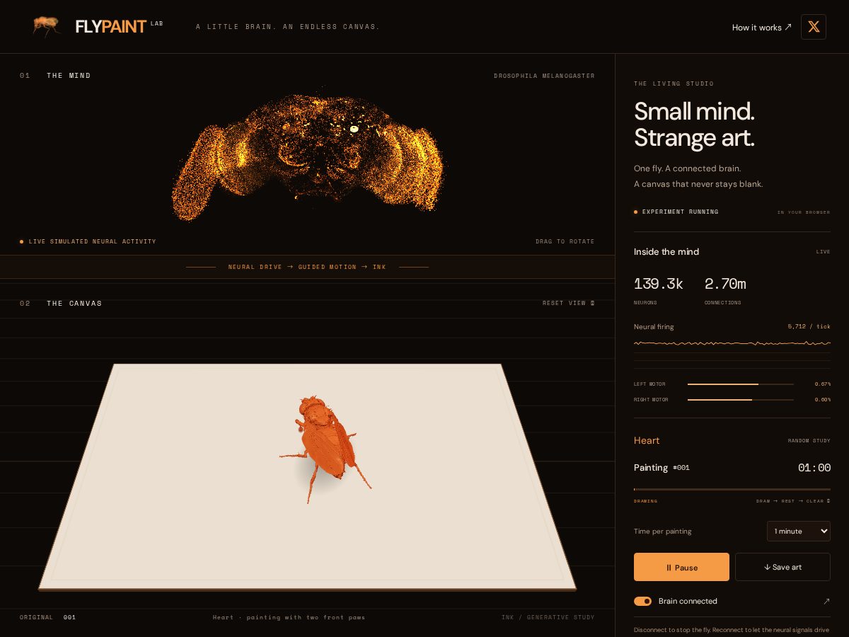 Landing-page snapshot of flypaint.fun