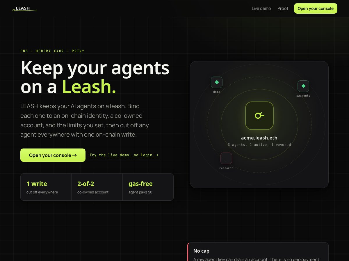 Landing-page snapshot of leash.ink