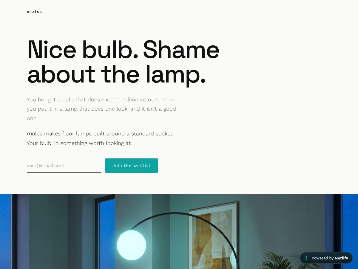 Landing-page snapshot of moleslighting.store