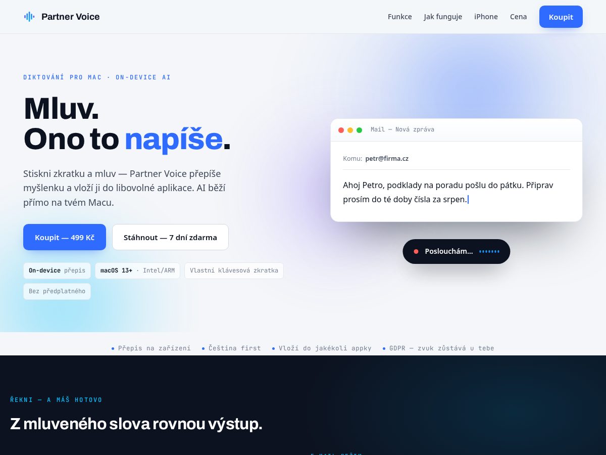 Landing-page snapshot of partnervoice.app