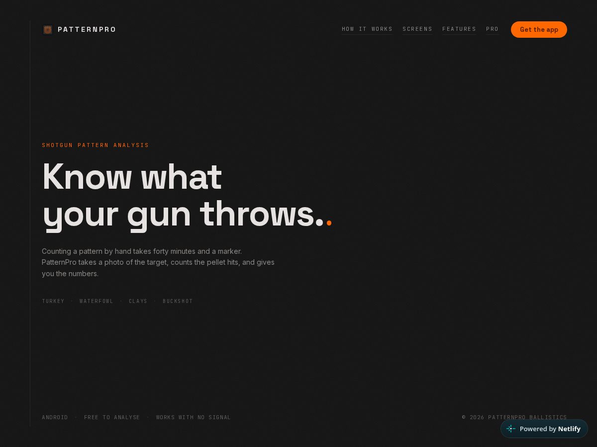Landing-page snapshot of patternpro.space