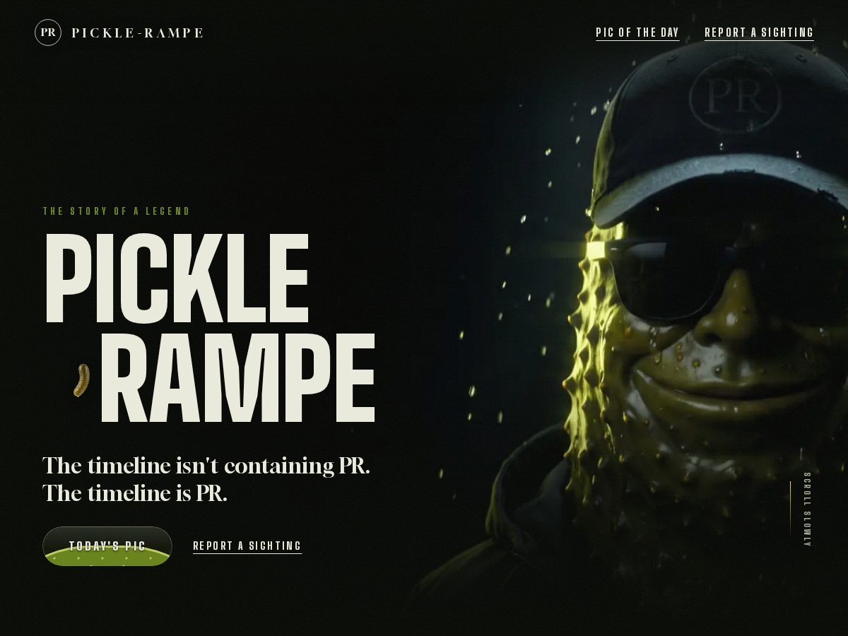 Landing-page snapshot of picklerampe.com