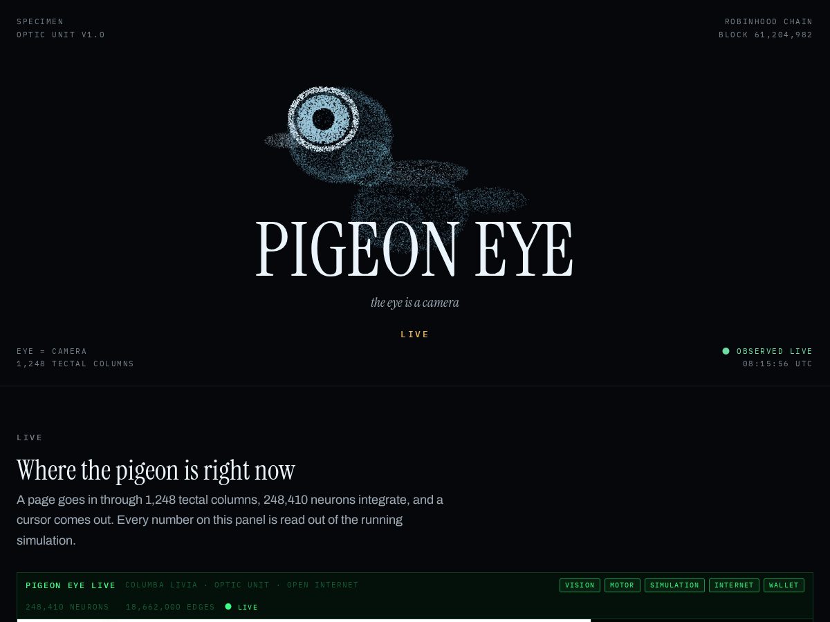 Landing-page snapshot of pigeoneye.net