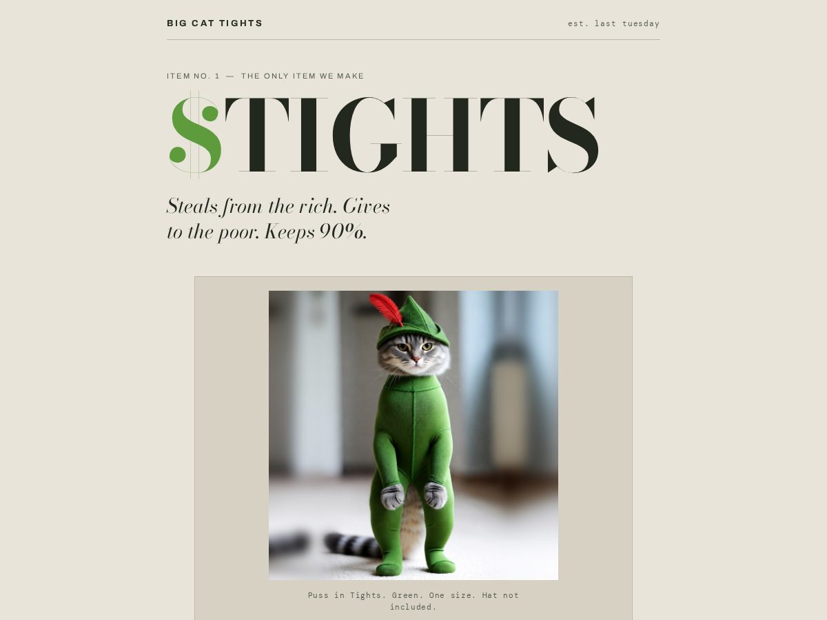 Landing-page snapshot of pussintights.lol