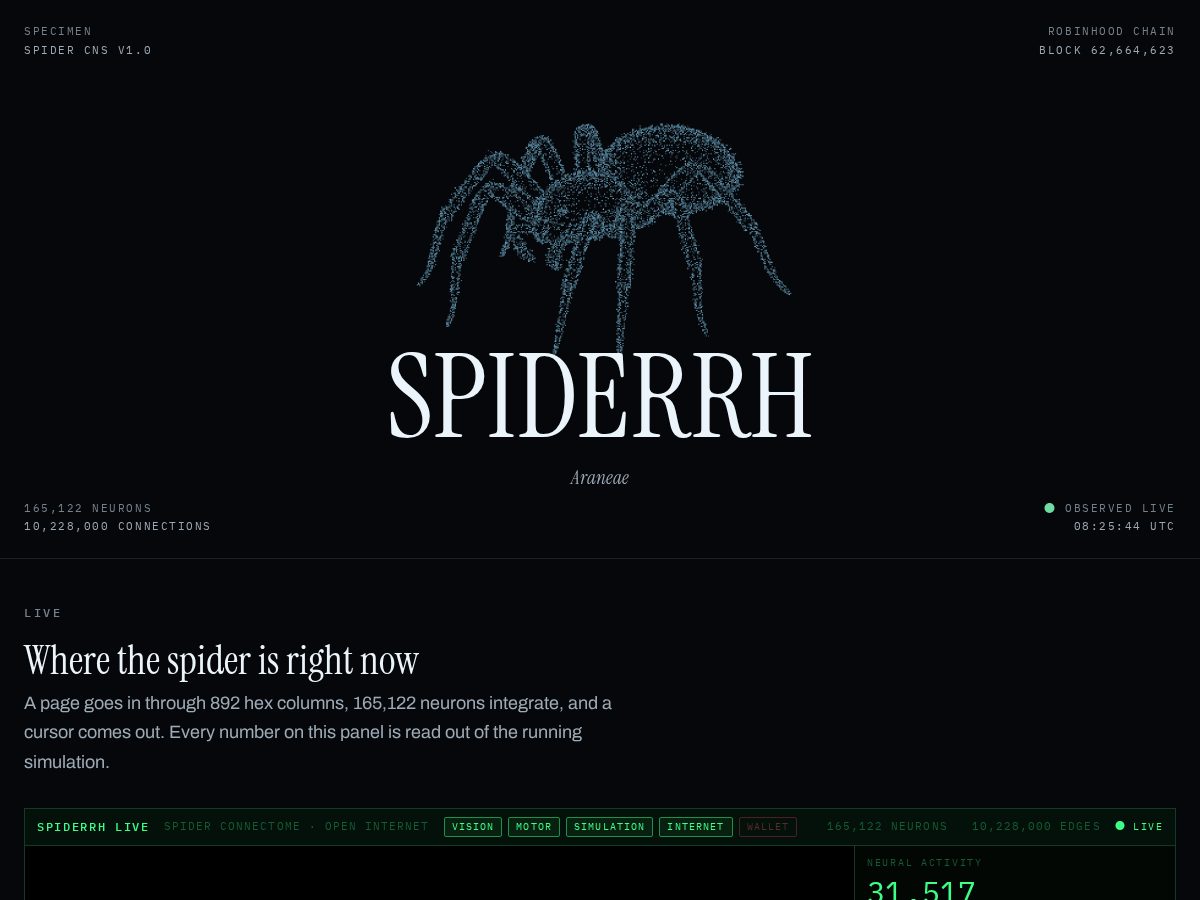 Landing-page snapshot of spiderbrain.online