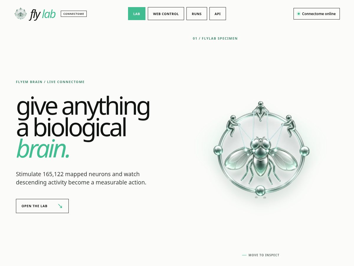 Landing-page snapshot of useflybrain.fun