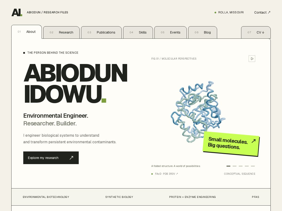 Landing-page snapshot of abiodunidowu.com