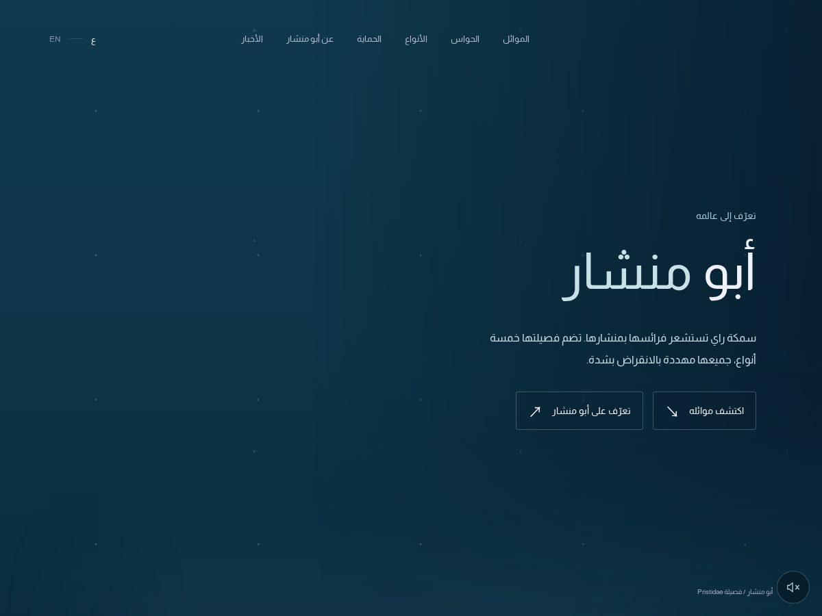 Landing-page snapshot of abuminshar.com