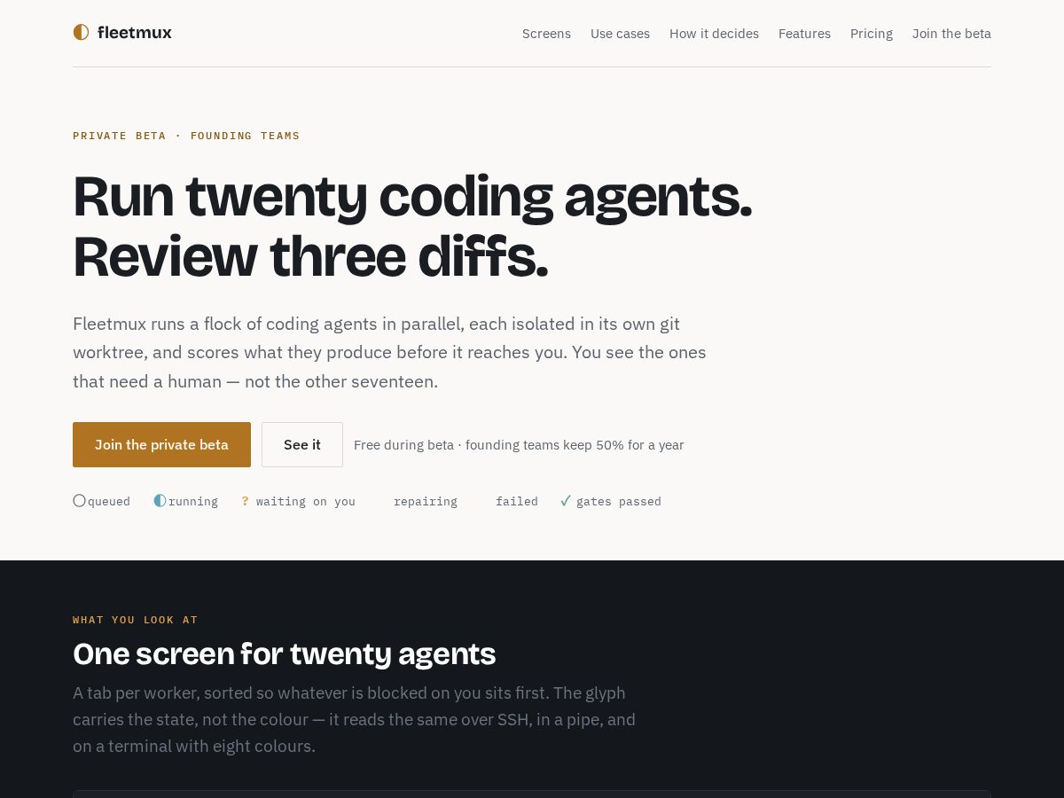 Landing-page snapshot of fleetmux.run