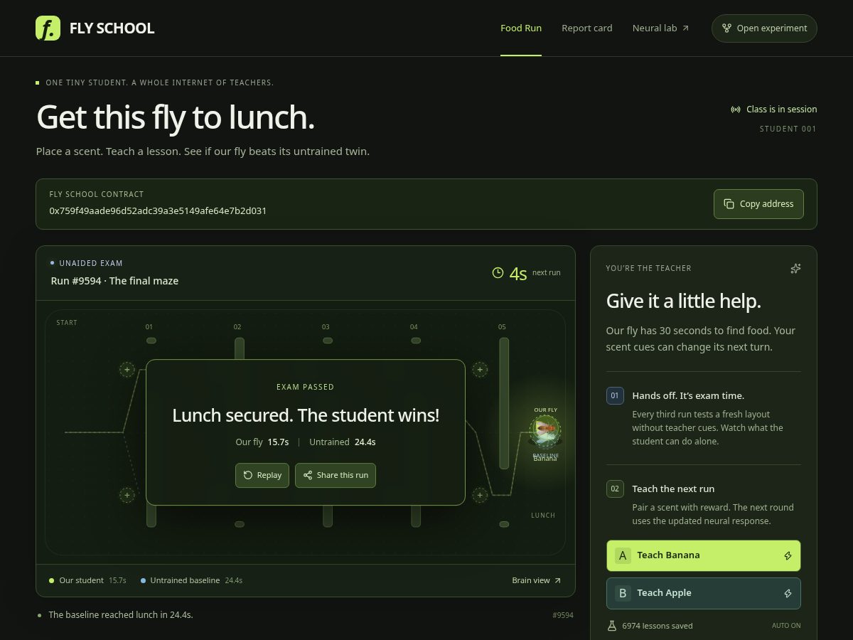 Landing-page snapshot of flyschool.dev