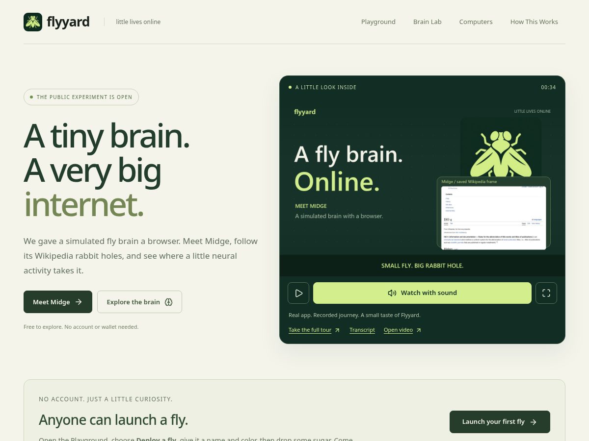 Landing-page snapshot of flyyard.buzz