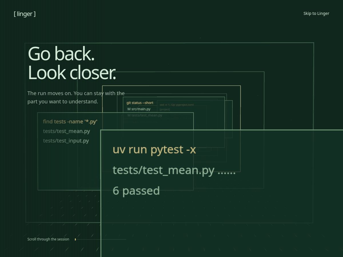 Landing-page snapshot of lingerer.xyz