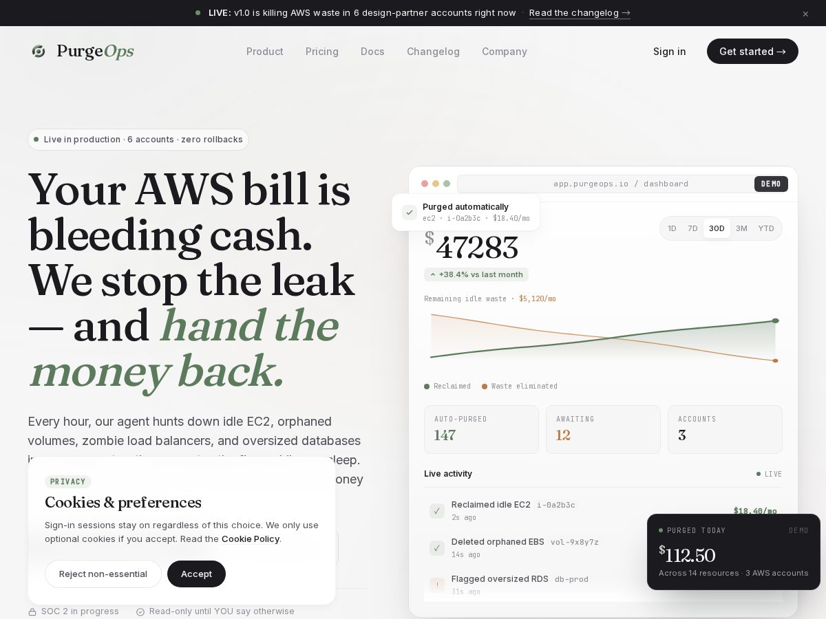 Landing-page snapshot of purgeops.com