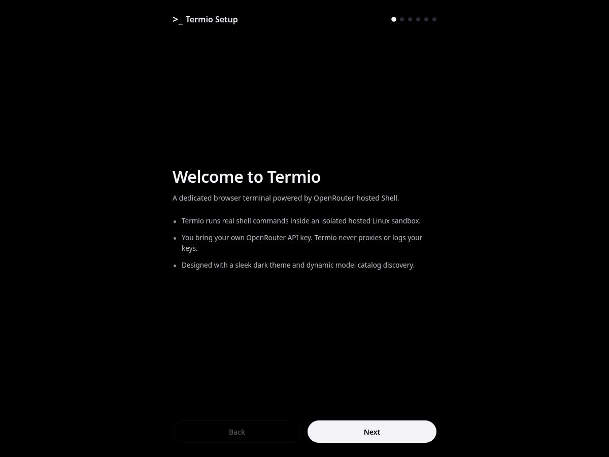 Landing-page snapshot of termio.lol