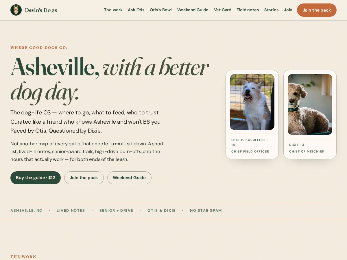 Landing-page snapshot of devinsdogs.com