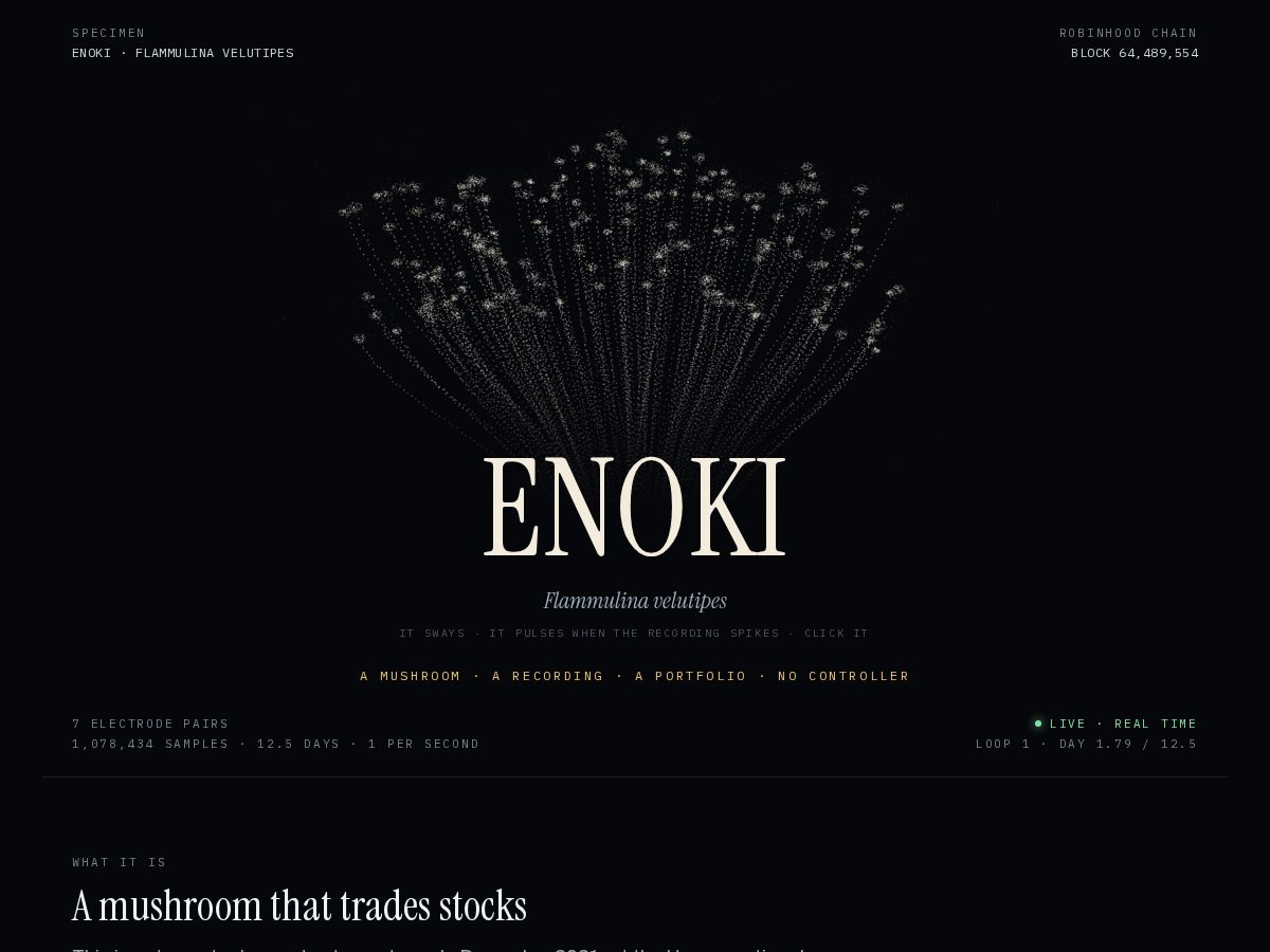 Landing-page snapshot of enokiresearch.org