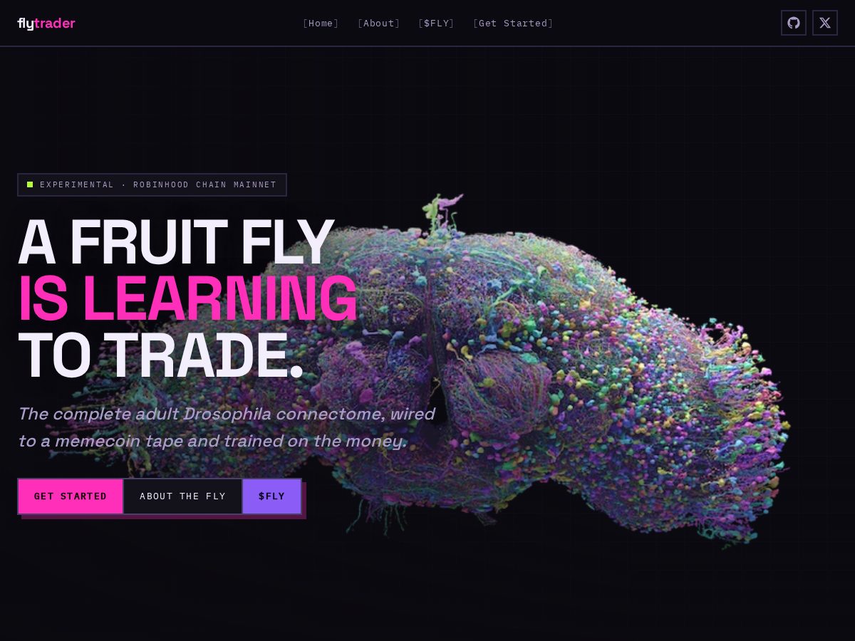 Landing-page snapshot of fly-trader.app