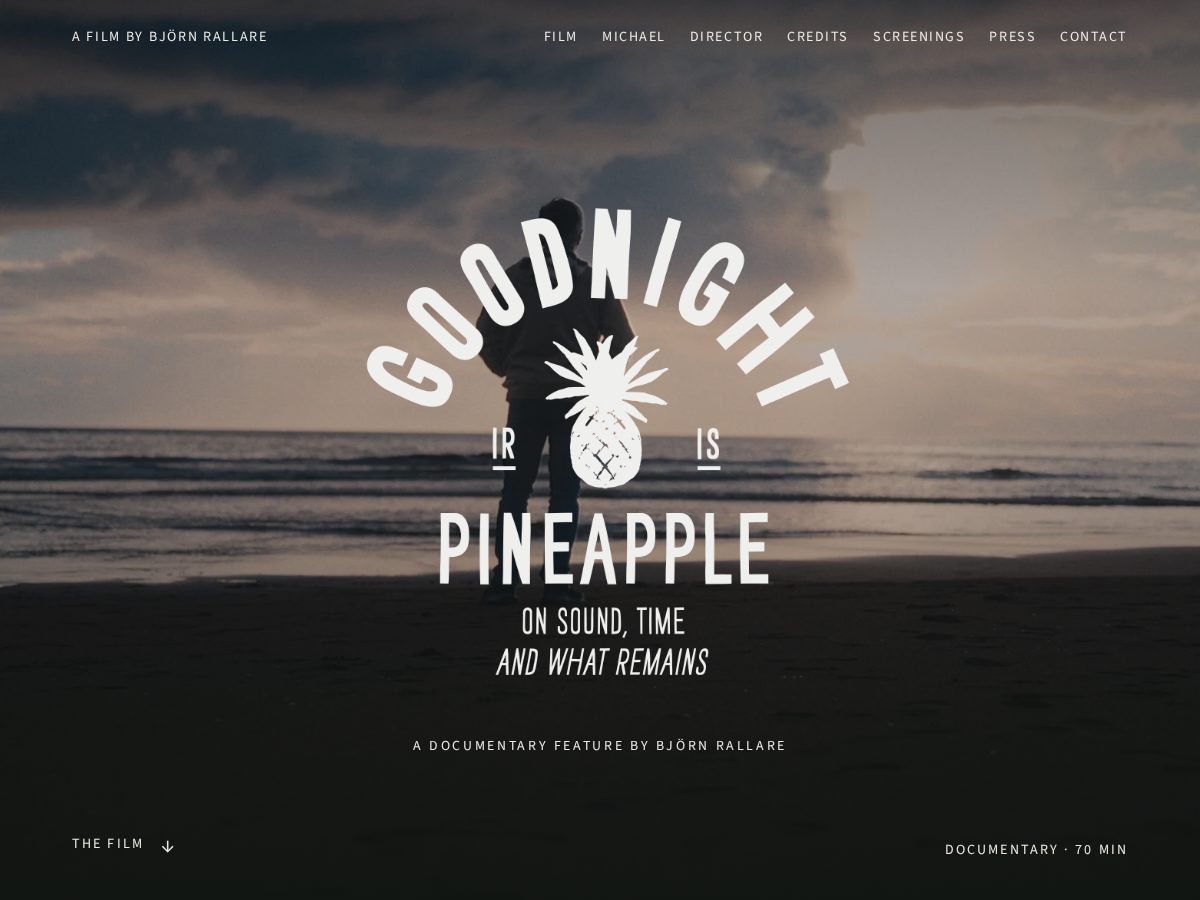 Landing-page snapshot of goodnightpineapple.com