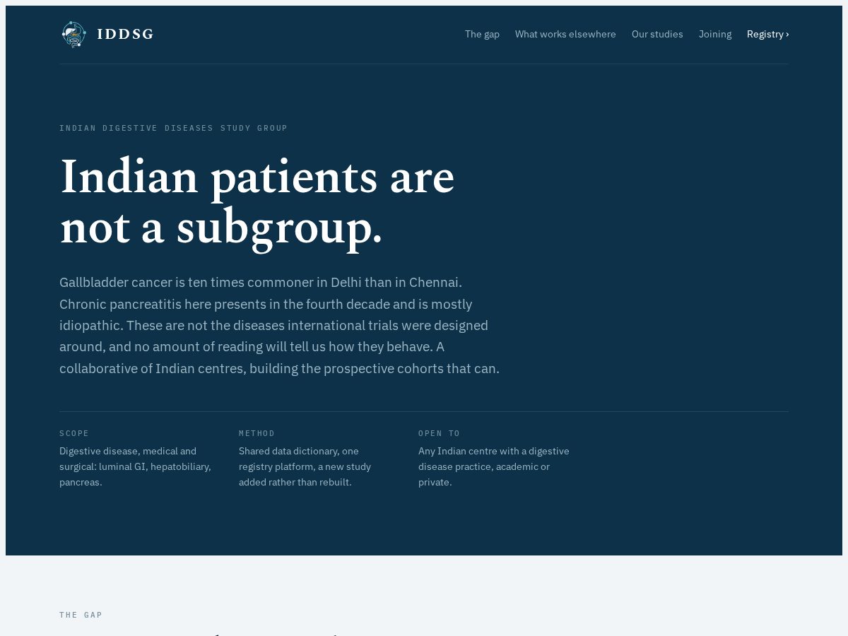 Landing-page snapshot of iddsg.org