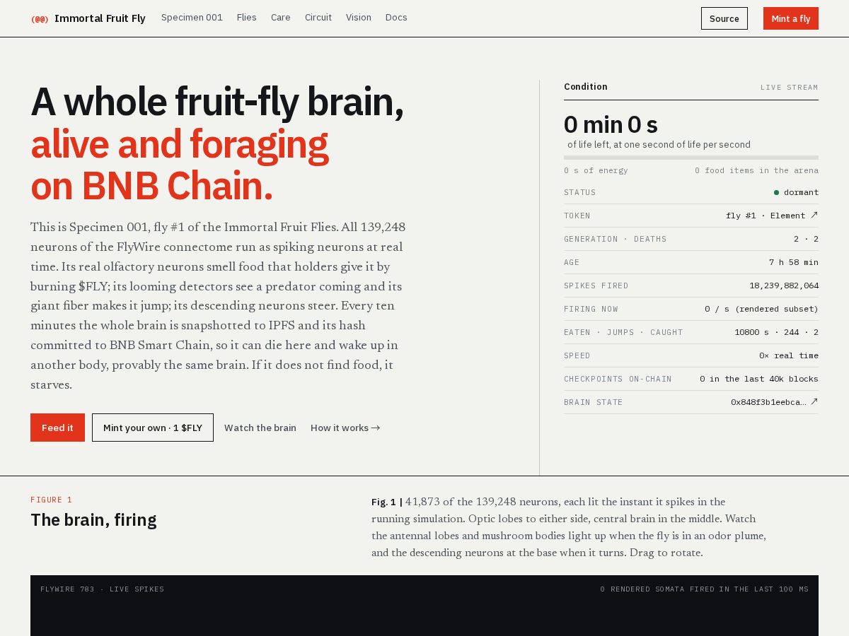 Landing-page snapshot of immortalfly.xyz