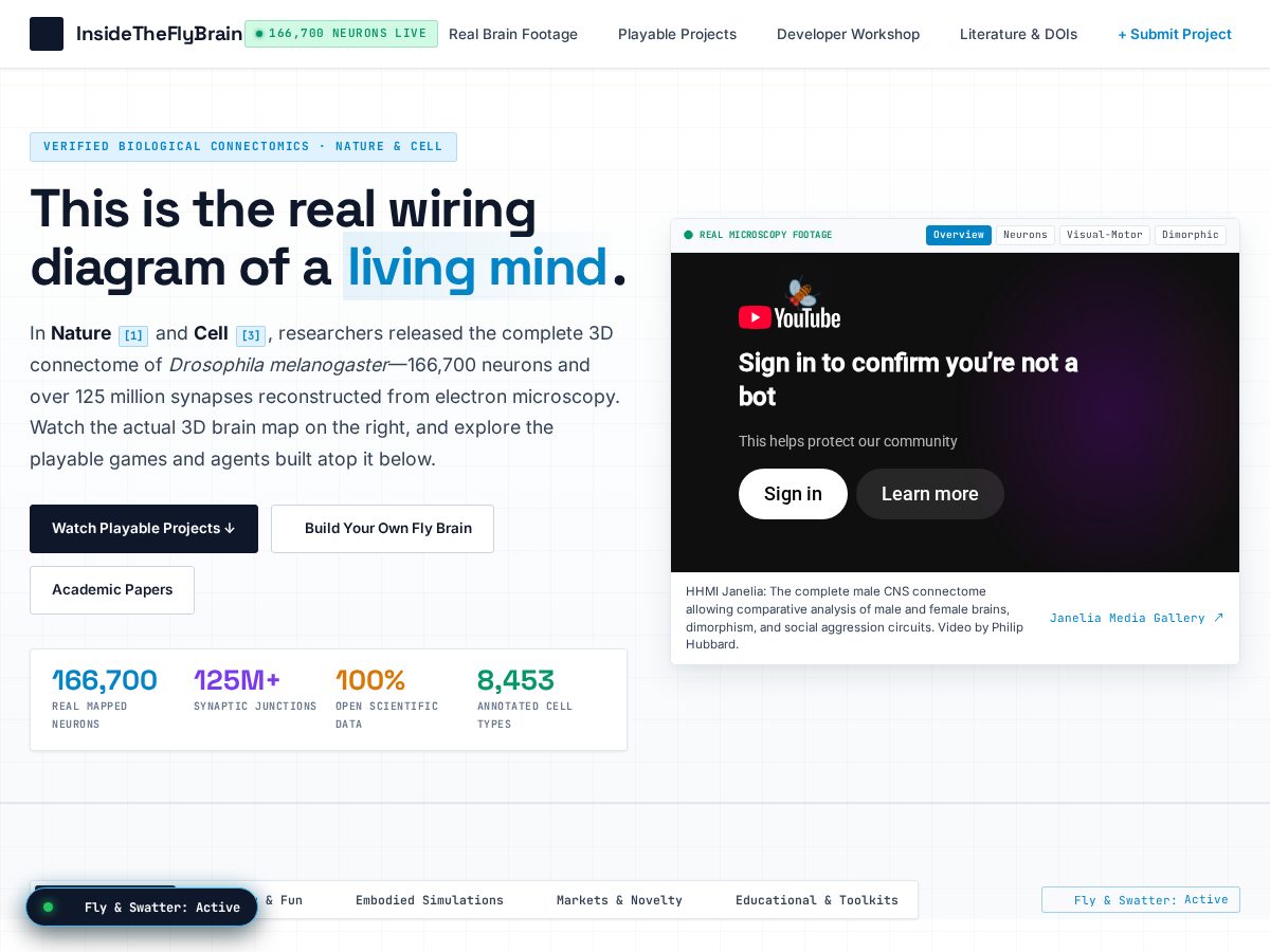 Landing-page snapshot of insidetheflybrain.site