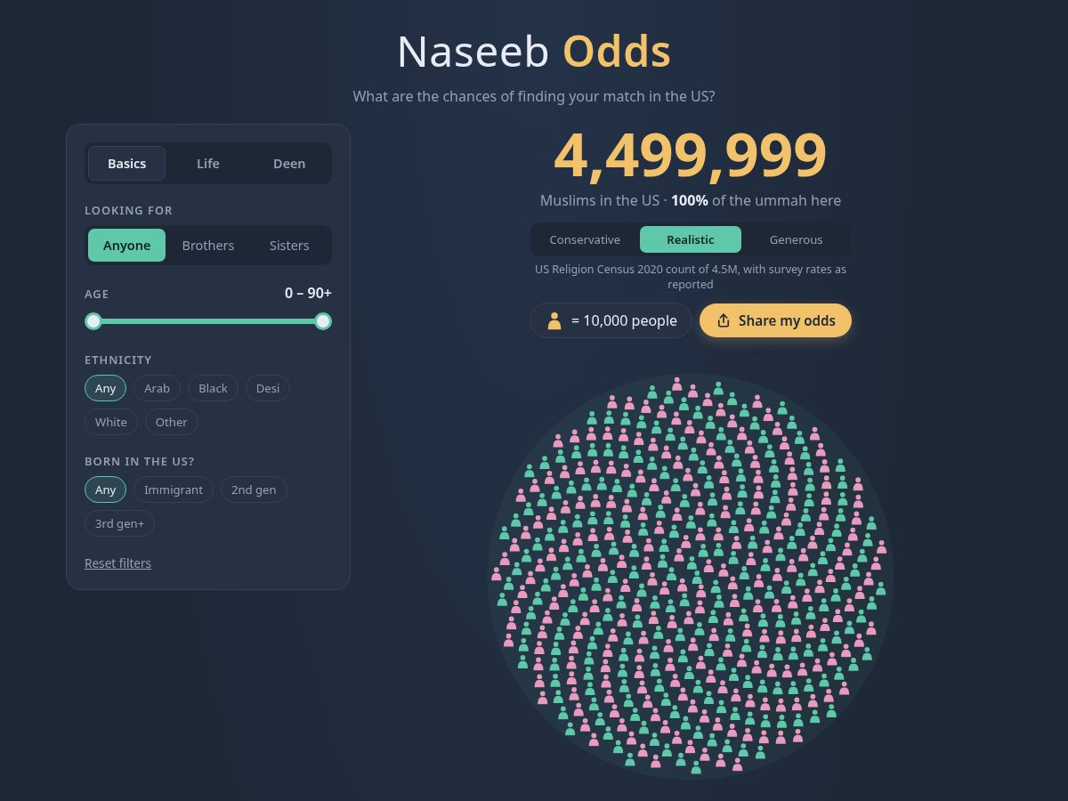 Landing-page snapshot of naseebodds.com